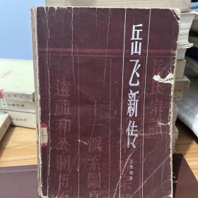 尽忠报国：岳飞新传