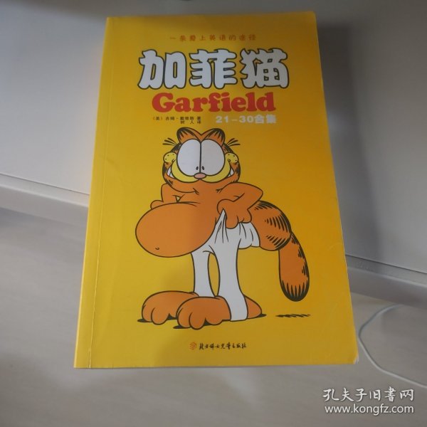 加菲猫1-40合集