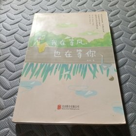 我在等风.也在等你