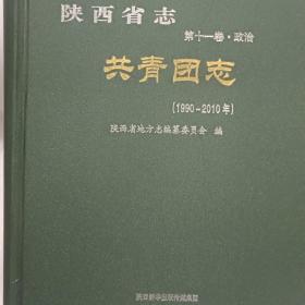 陕西省治共青团治