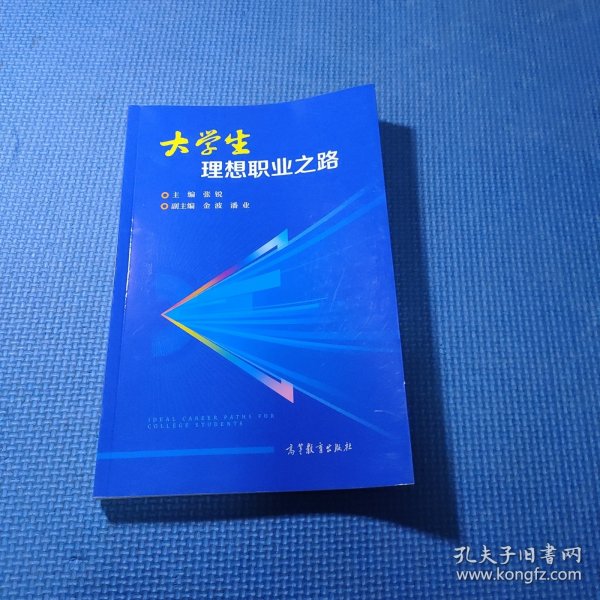 大学生理想职业之路