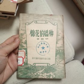 棉花的播种