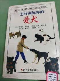 爱犬10周训练