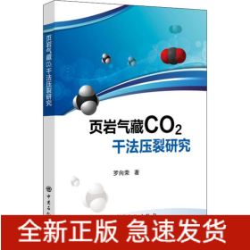 頁巖氣藏CO2干法壓裂研究
