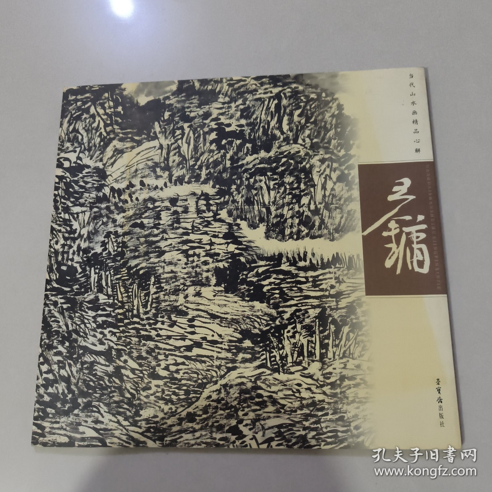 当代山水画精品心解·王镛
