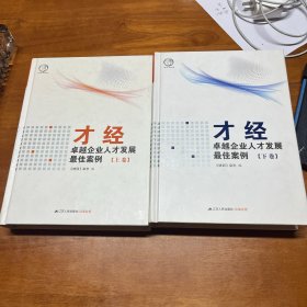 才经：卓越企业人才发展最佳案例 上下卷