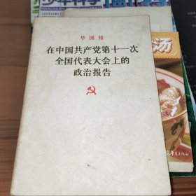 华国锋在中国共产党第十一次全国代表大会上的政治报告