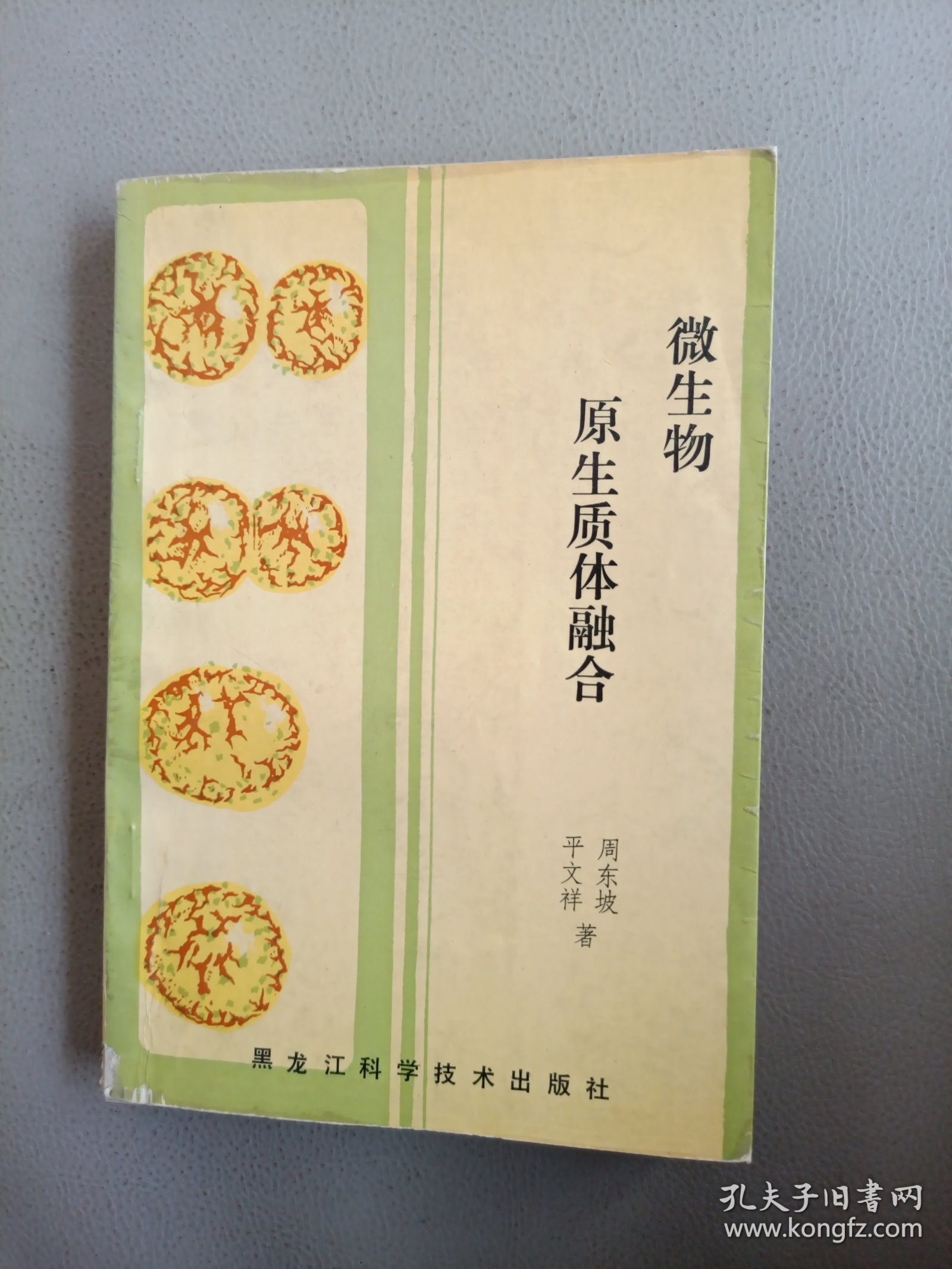 微生物原生质体融合【作者签赠本】