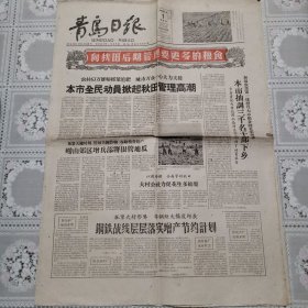 青岛日报1960年9月1日（本市抽调三千名干部下乡）