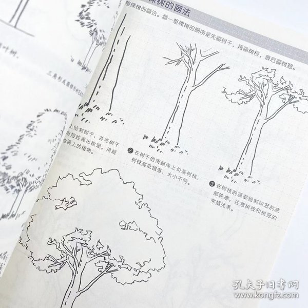 速写基础教程实战练习 新手自学入门