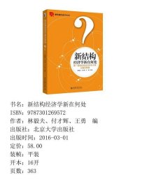 新结构经济学新在何处：第一届新结构经济学冬令营头脑风暴集