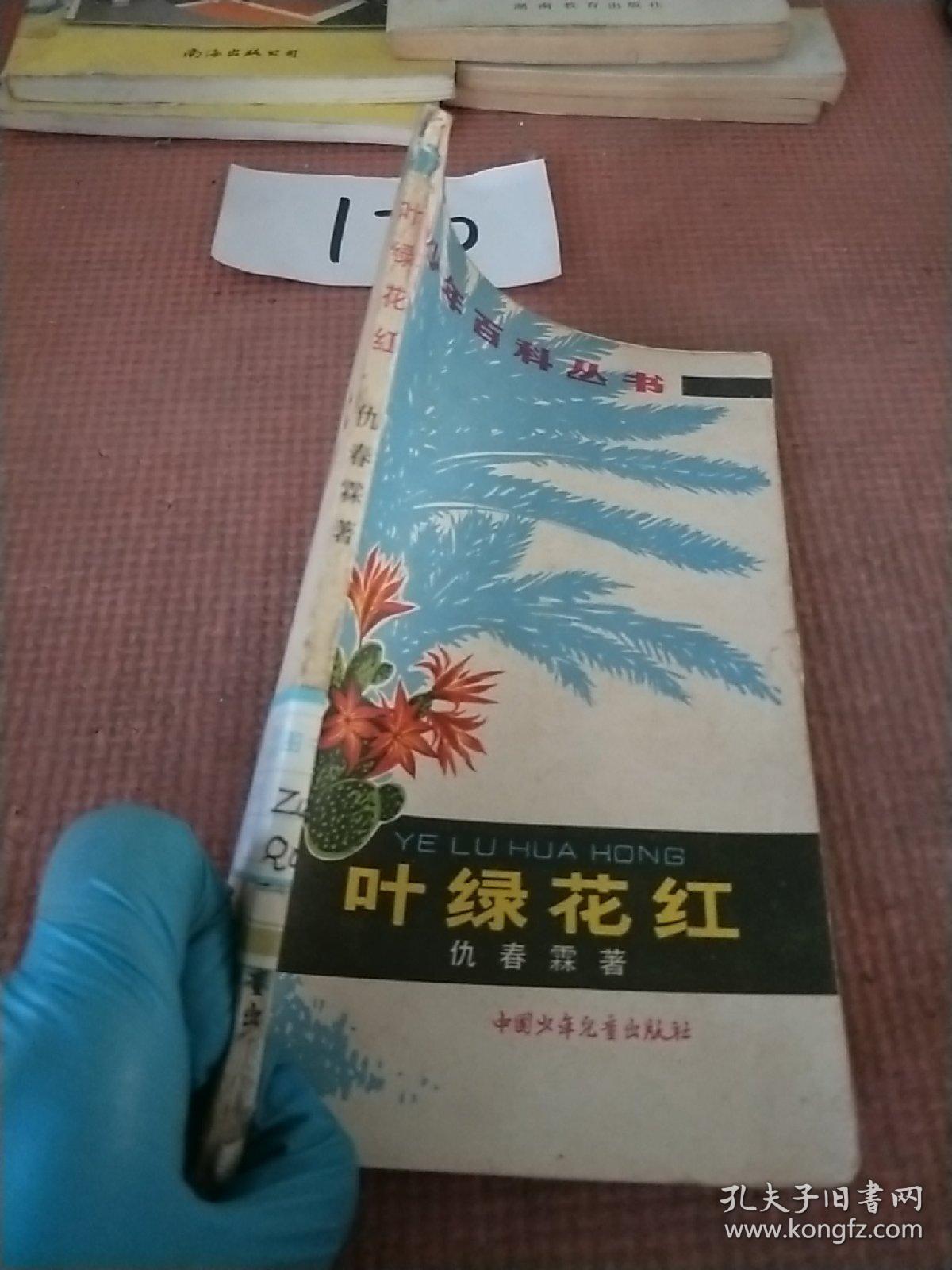 叶绿花红