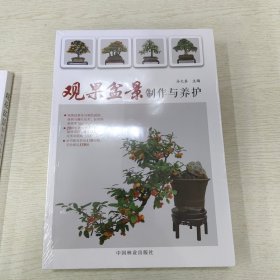 观果盆景制作与养护