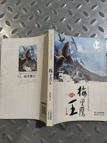 中国儿童文学大奖获奖作家书系：梅里鹰王