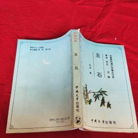丑石:中国新时期文学精品大系