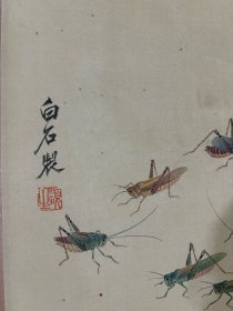 (字画议价) 百虫图长卷 绢画 整体517*45.5cm 画心289*39cm