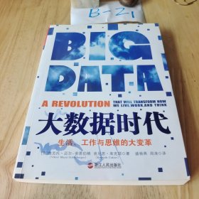 大数据时代：生活、工作与思维的大变革 平装本