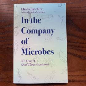 In the company of microbes: ten years of small things considered