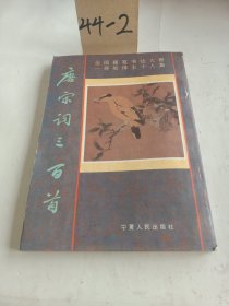 唐宋词三百首