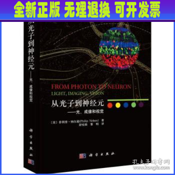 从光子到神经元——光、成像和视觉