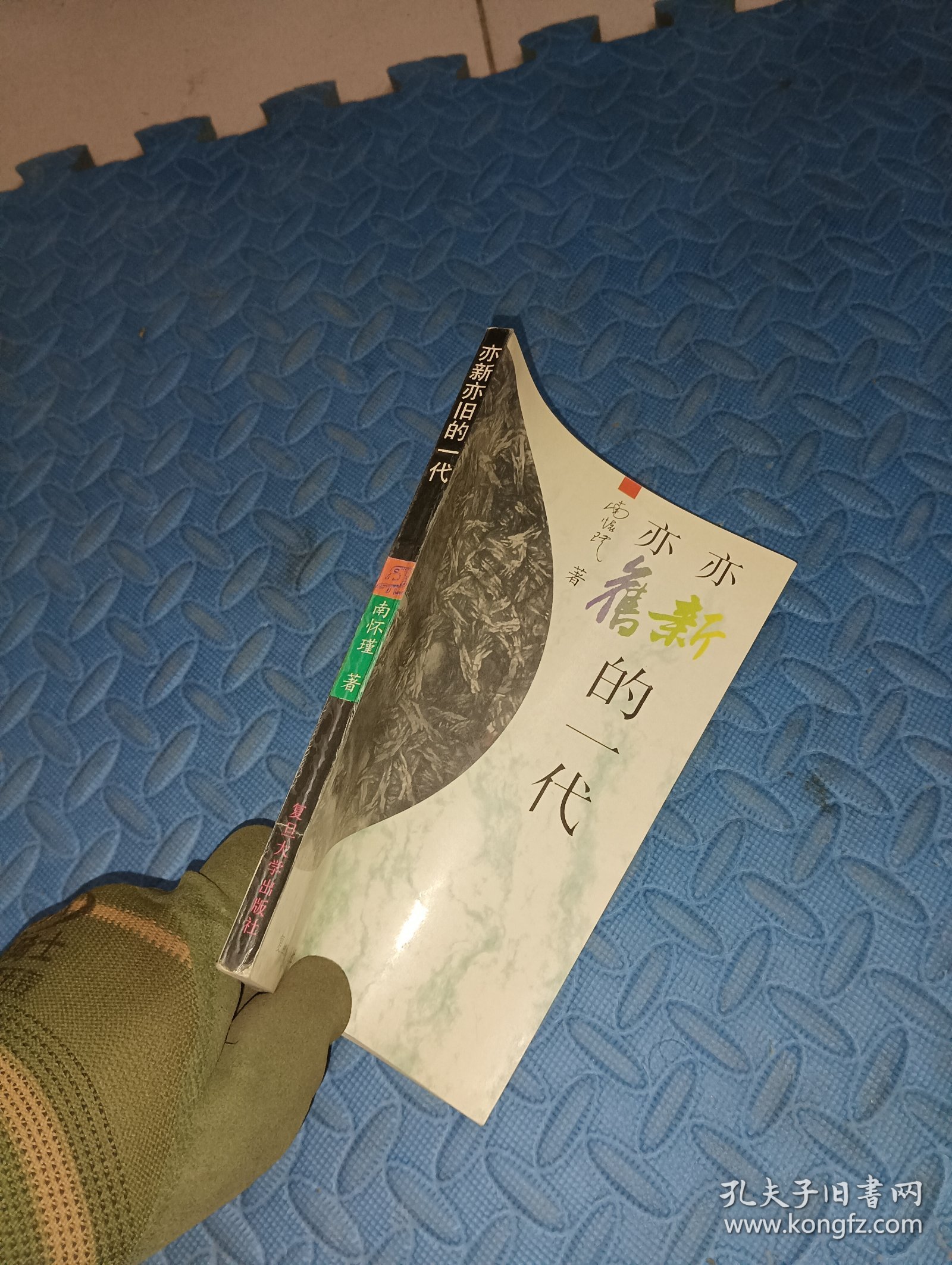 亦新亦旧的一代