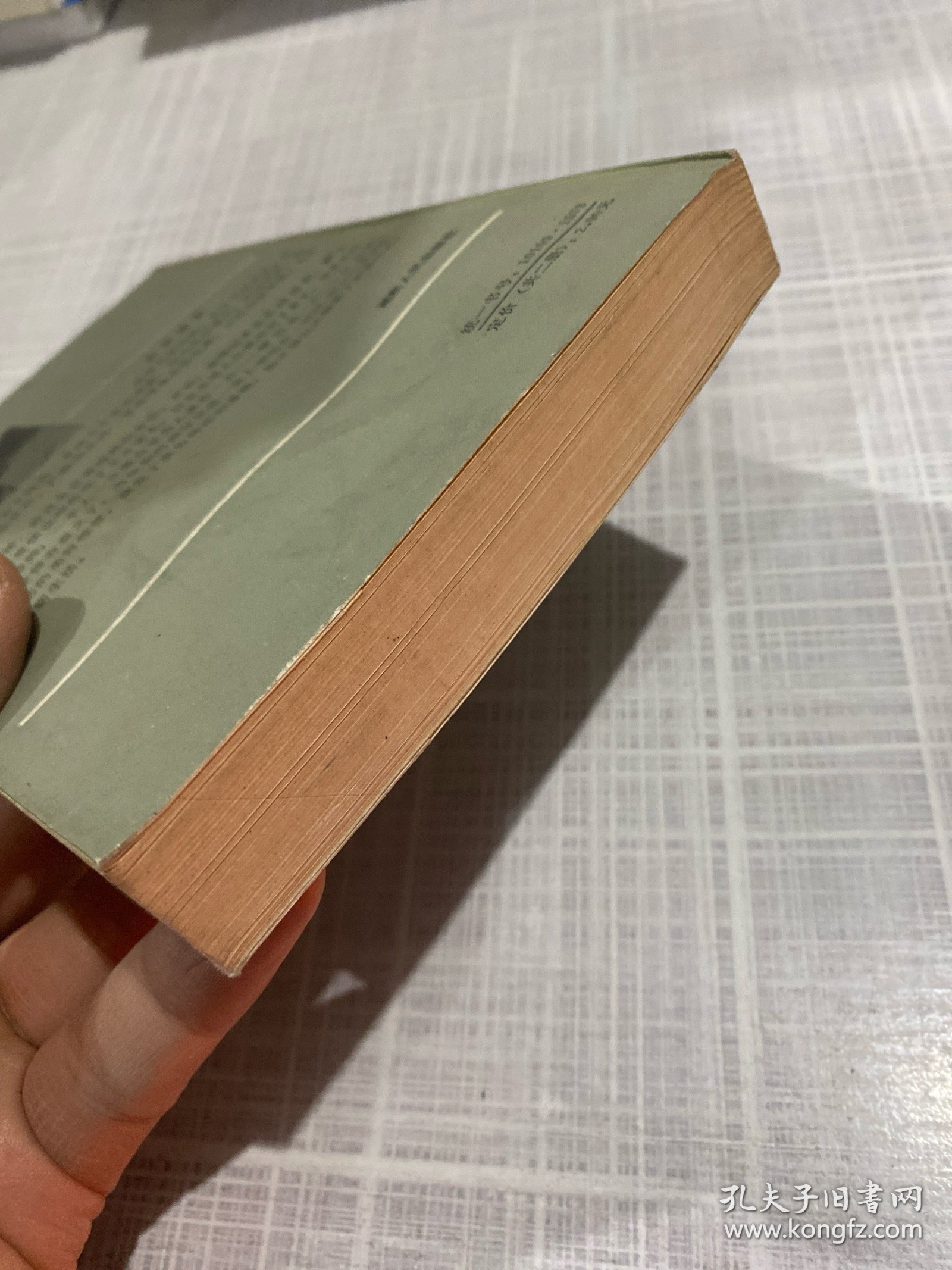 人性的伽锁下册