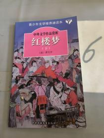 红楼梦（下）——中外文学作品赏析（以图片为准）。。