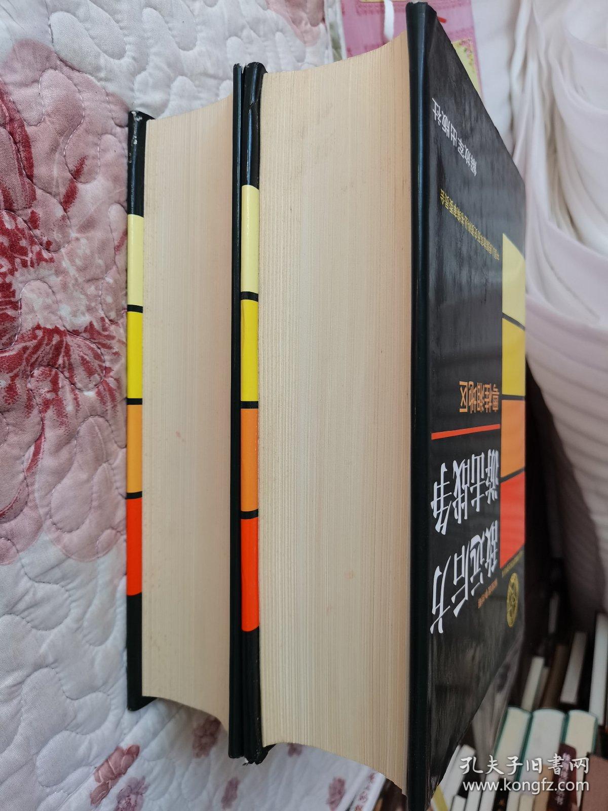 敌远后方游击战争（粤桂湘地区、云贵川康地区）2本合售