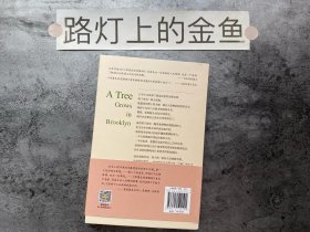 布鲁克林有棵树（与《小王子》《夏洛的网》《哈利·波特》《绿山墙的安妮》并列的蕞佳青少年读物）