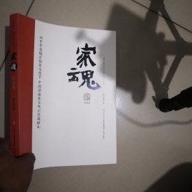 家魂:升级版