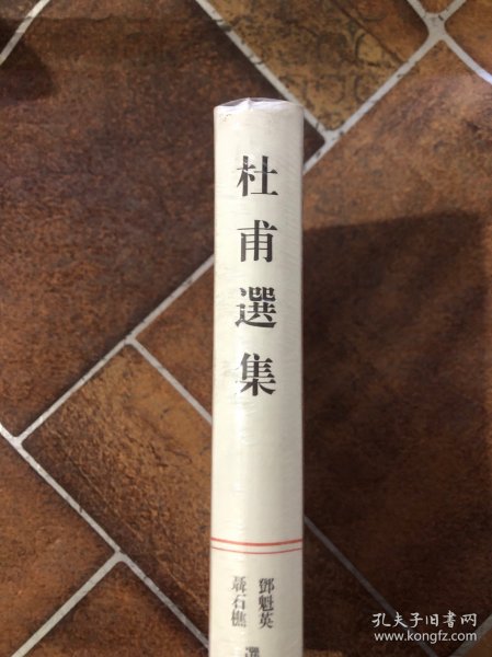 杜甫选集：中国古典文学名家选集