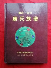 2013年，硬精装，家谱，族谱，重庆忠县，康氏族谱，少见，419页，16开！