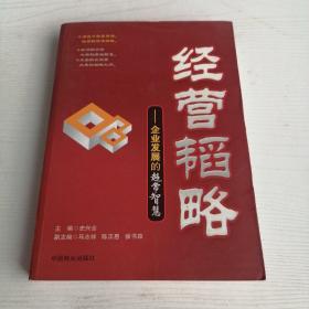 经营韬略—企业发展的超常智慧
