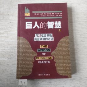 巨人的智慧 上下