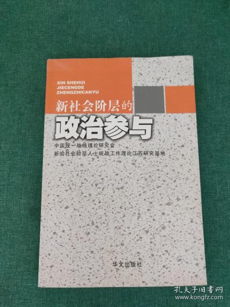 新社会阶层的政治参与