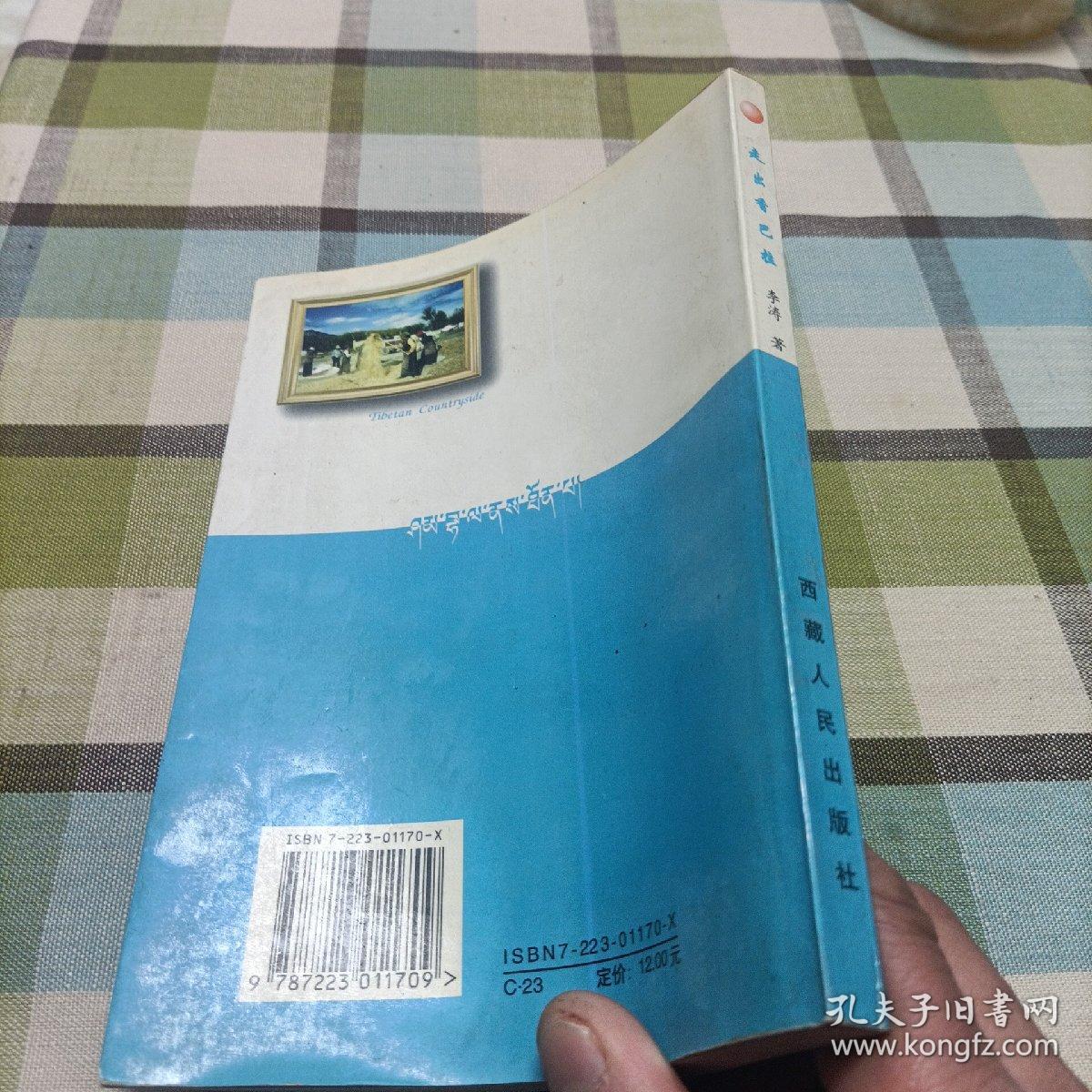 走出香巴拉…西藏“一江两河”流域乡村城市化研究