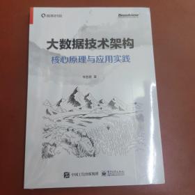 大数据技术架构：核心原理与应用实践(博文视点出品)