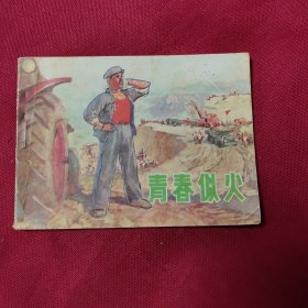青春似火G