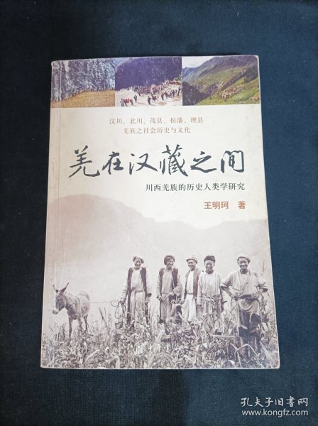 羌在汉藏之间：川西羌族的历史人类学研究