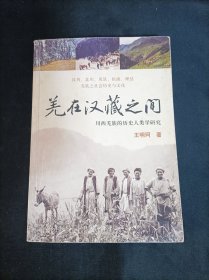 羌在汉藏之间：川西羌族的历史人类学研究