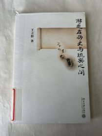 游走在历史与现实之间