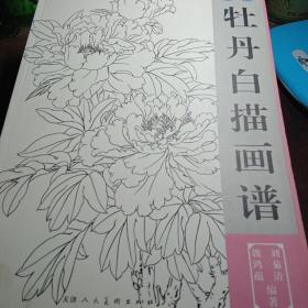 牡丹白描画谱