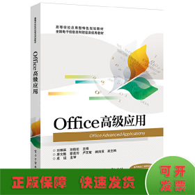 Office高级应用