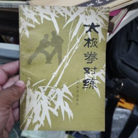 太极拳对练.