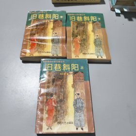 民国通俗小说名著丛书: 旧巷斜阳（上中下）