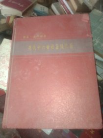 乐安·厦门孙厝：孙氏十六世祖嘉槌家谱 (仓库)