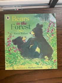 Bears in the Forest