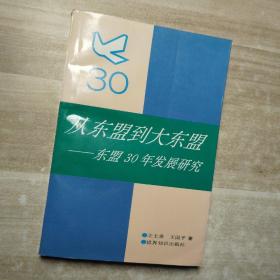 从东盟到大东盟:东盟30年发展研究