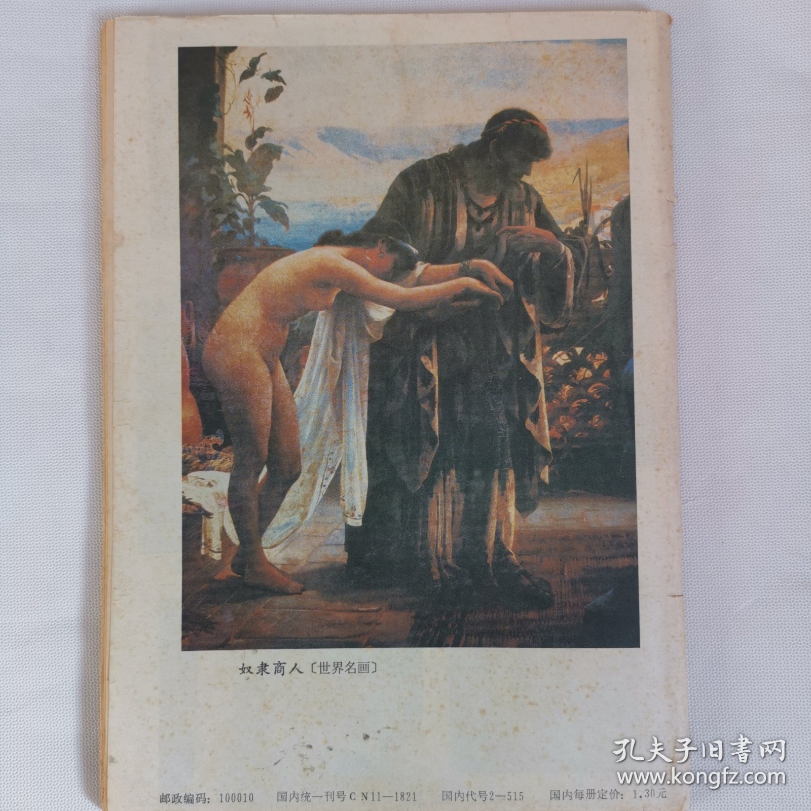报告文学1989.9第九期总第101期