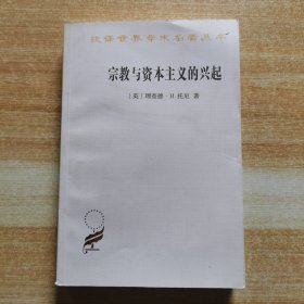 宗教与资本主义的兴起（汉译世界学术名著丛书）